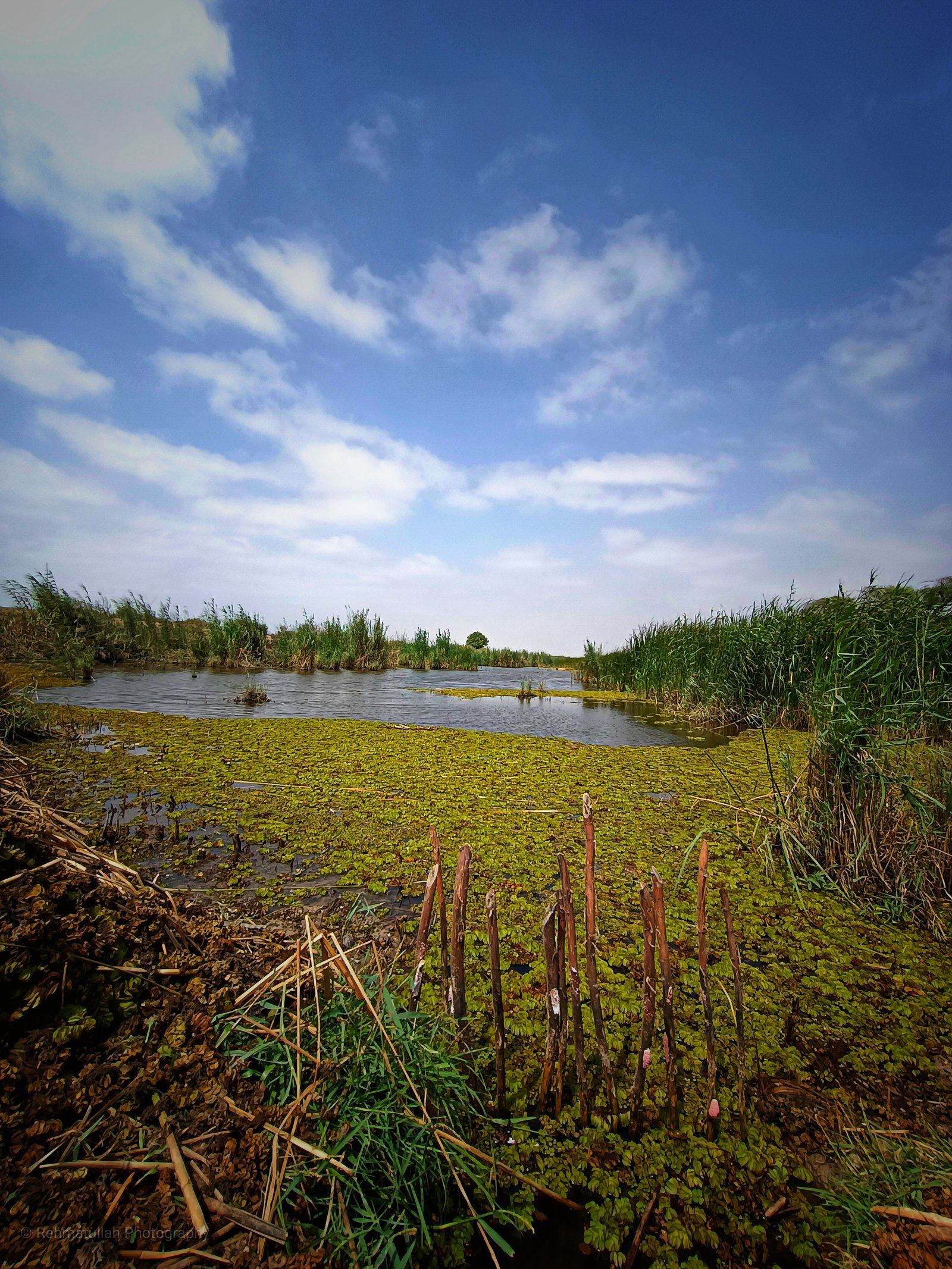 Nature Photography