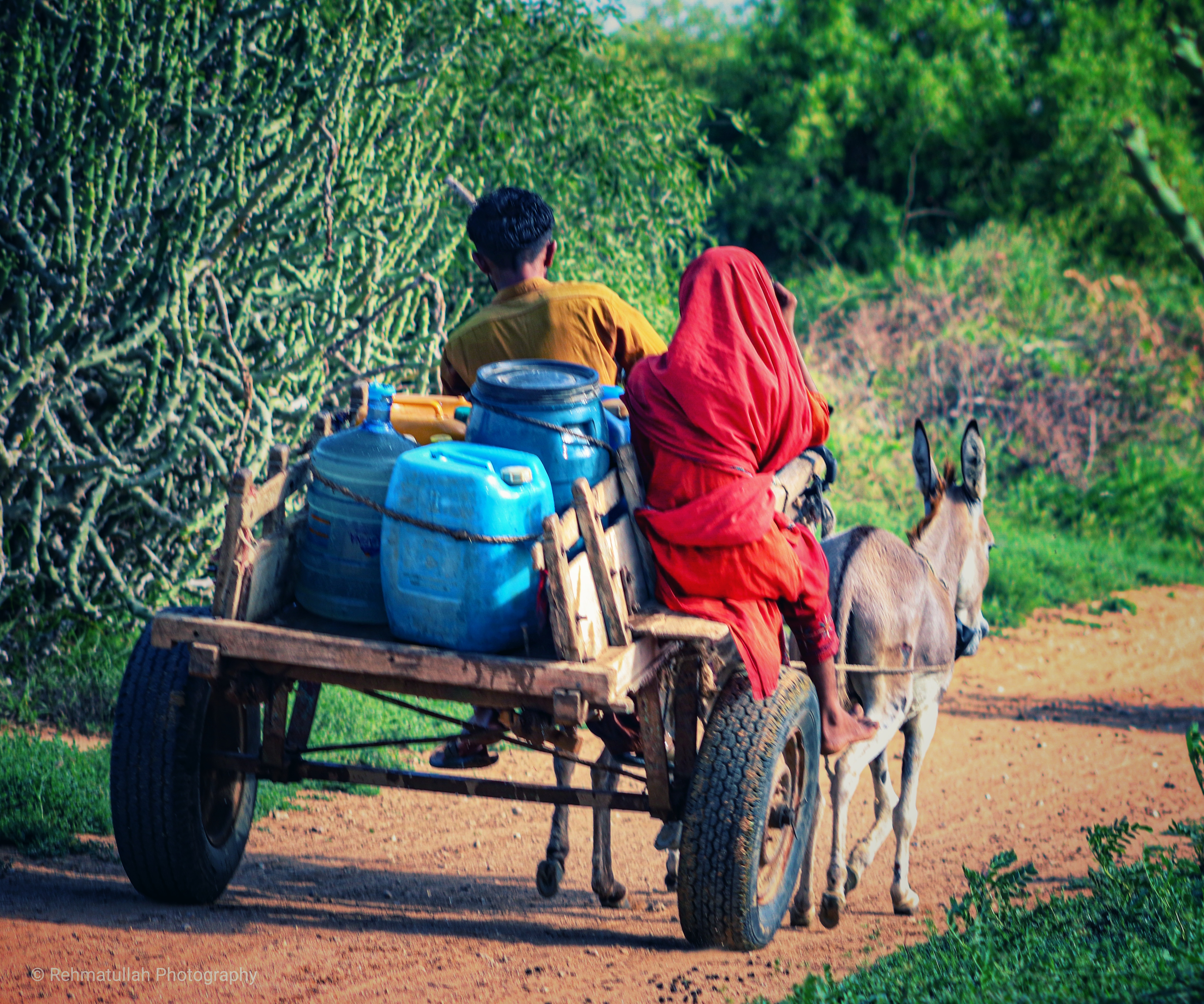 Village Life Sindh